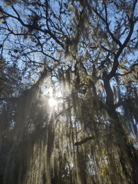 How Photography Has Helped My&nbsp;Writing